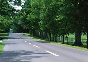 稲沢市で自動車リースを検討している方！